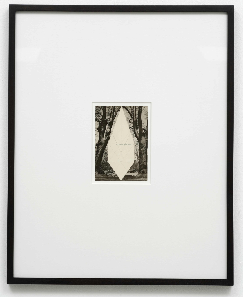 Daniel Andersson, Untitled